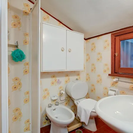 Apartment Lo Stambecco - Happy *